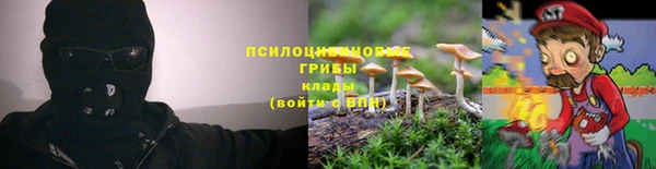 синтетический гашиш Алексин