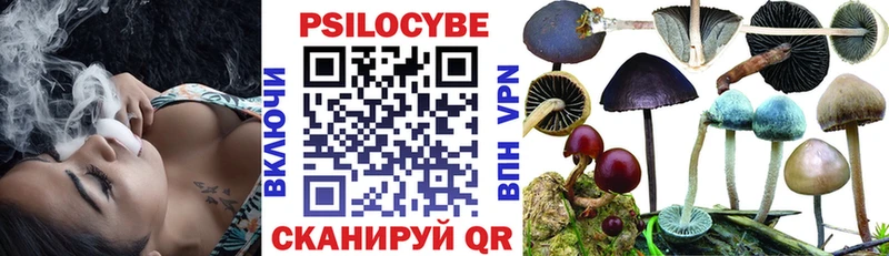 даркнет сайт  Оренбург  MEGA сайт  Галлюциногенные грибы Psilocybe 
